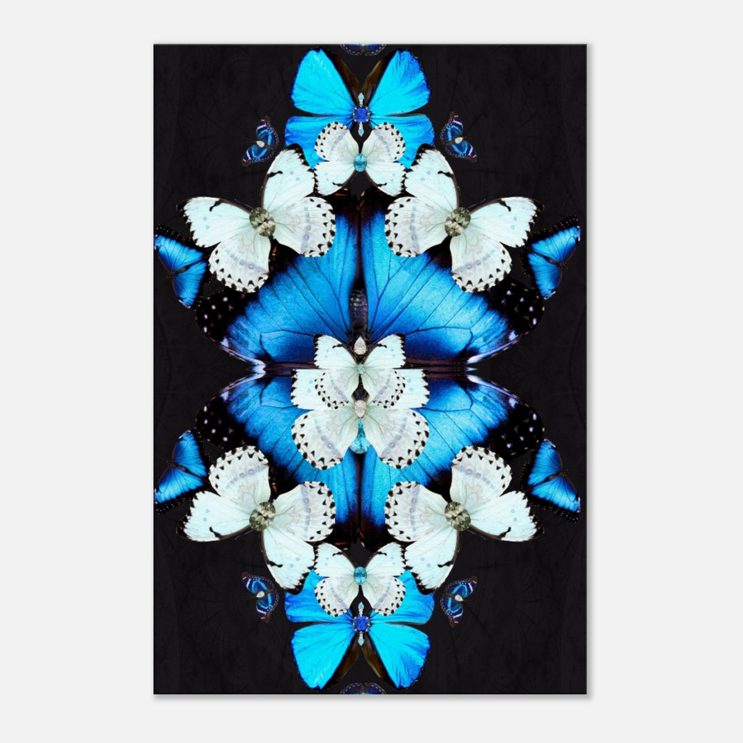Iron Butterfly Canvas